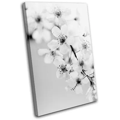 Cherry Blossoms Floral SINGLE CANVAS WALL ART Picture Print VA • $64.99