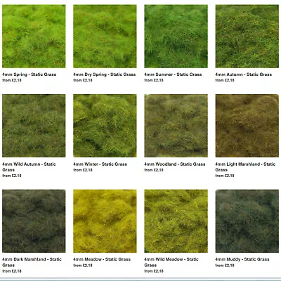 £9 • Buy 4mm Static Grass - PGS - Model Scenery Wargame Diorama Railway Warhammer FOW HO