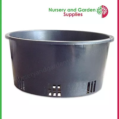 200mm Orchid Squat Port Pot Heavy Duty (8 ) - Bonsai Pot Orchids Etc • $28.99