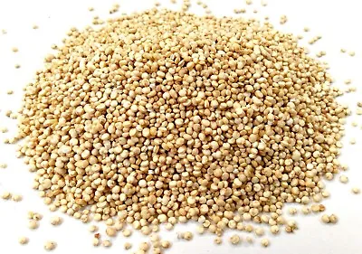 £6.29 • Buy White Quinoa Grain, Grade A Premium Quality, Free UK P&P