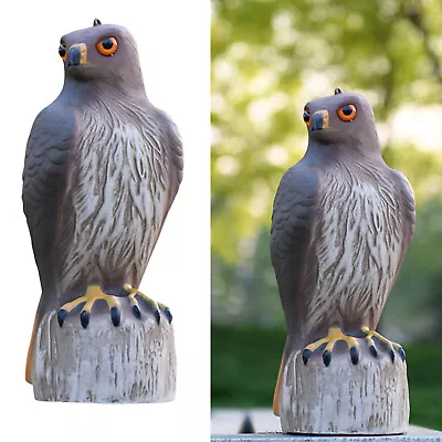 Fake  Hunting Decoy Statue Garden Scarer Decor Red-tailed  Pest Help • £11.80