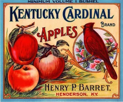 Cardinal Brand Apple Henderson Kentucky Fruit Crate Bird Label Vintage Art Print • $12.50