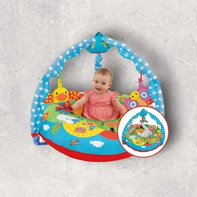 Galt Toys Playnest And Gym - Farm Sit Me Up Baby Seat Ages 0 Months Plus • £54.99