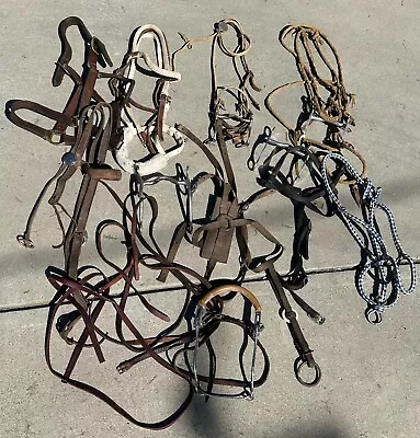 Lot Of Vintage Horse Tack Bits Headstalls Leather Halter Hackamore • $12