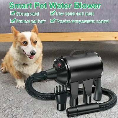 £49.99 • Buy 2400W Pet Hair Dryer Dog Cat Grooming Dryer Hair Dryer Blower Bathing Best Dryer