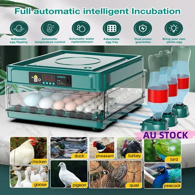 48/64 Automatic Egg Incubator Digital Led Hatch Turning Chicken Eggs Poultry AU • $96.99