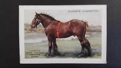 £2.60 • Buy Players  1925.  british  Pedigree  Stock.  No 16.  The  Shire  Horse. 1  Of  25.
