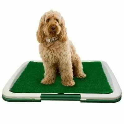 £14.99 • Buy Pet Dog Toilet Mat Indoor Restroom Training Grass Potty Pad Loo Tray Large Puppy