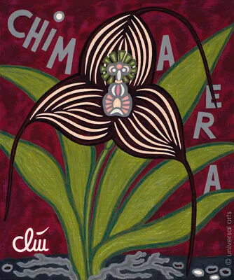 JACQUELINE DITT - Masdevallia Dracula Chimera Orchid A2 Large PRINT Orchid • $24.44
