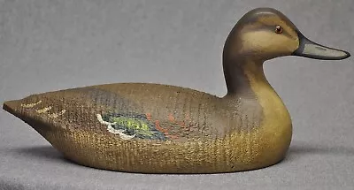 Pintail Drake Duck  Decoy Decoys Original Paint WMW  # 2 Glass Eyes • $74.99