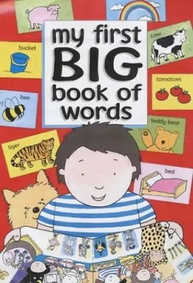 My First Big Book Of Words Hardback Book The Fast Free Shipping • $17.45