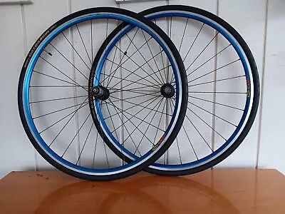 700c MAVIC Blue Anodized Double Wall Rims CANNONDALE HUBS 10sp Gatorskins • $150