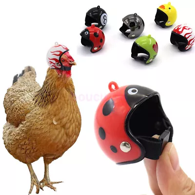 AUS Chicken Bird Duck Pet Helmet Hard Quail Hat Headgear Cute Small Pet Supplies • $15