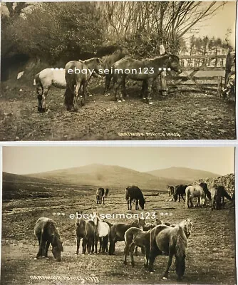 Vintage RP - 2 Postcards Of Dartmoor Ponies - Unposted - 1950s - Horses • £1.99