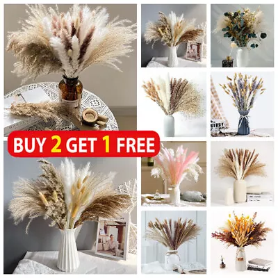 Pampas Grass Natural Dried Flowers For Vase Feather Bouquet Bunch Home Decor UK • £6.99