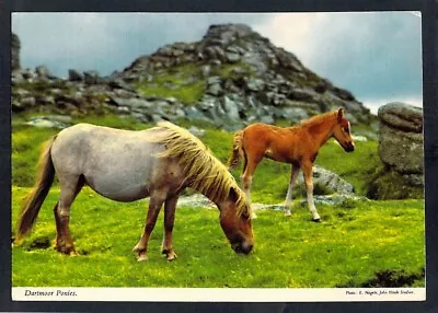 D8992 UK Dartmoor Ponies John Hinde Postcard • $10.70