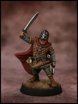 VIKING WARRIOR. Painted 28mm SAGA Dark Ages. • £40