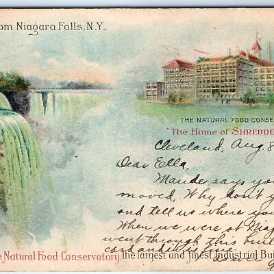 1904 Niagara Falls Wheat Food Factory UDB PMC Colorful Private Mailing Card A153 • $21.50