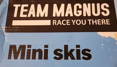 TEAM MAGNUS Mini Skis For Skills & Fun Official Mini Skis • $175