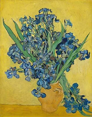 Handmade Oil Painting Repro Vincent Van Gogh: Irises May 1890 • $49