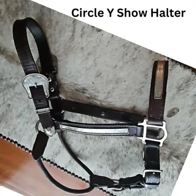 Circle Y Silver Show Halter Horse Size Dark Oil USED • $131.99