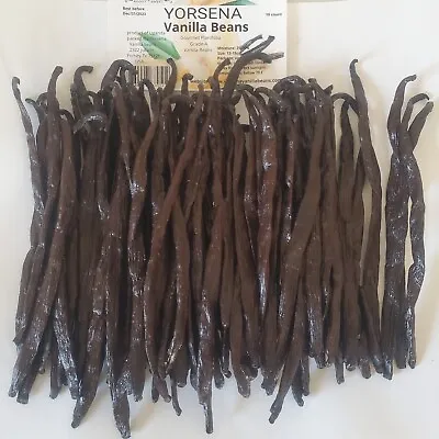 Madagascar 10lb Grade-A Vanilla Beans  • $699