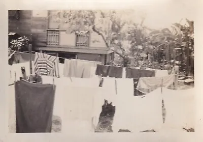 Vtg Photo The Philippines 1945 1946 Laundry Hung Drying Manila WW2 People B&W • $7.19