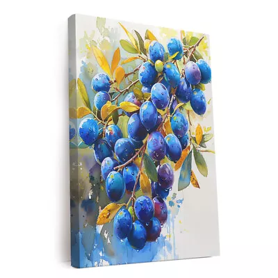 Mediterranean Olive Harvest Printed Canvas Wall Art Perfect For Home Decor • $41.99