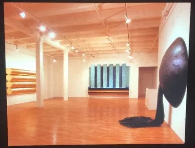 $9.07 • Buy Robert Longo  Black Planet” American Contemporary Art 35mm Slide