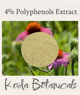 ECHINACEA 4% Polyphenols EXTRACT POWDER Echinacea Purpurea COLD & FLU REMEDY • $12.25