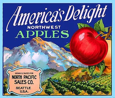 Seattle Washington Mt. Rainier America's Delight Apple Fruit Crate Label Print • $11.19