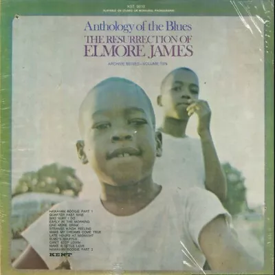 Elmore James - Anthology Of The Blues - The Resurrection Of ... - Kent -SEALED • $19.99