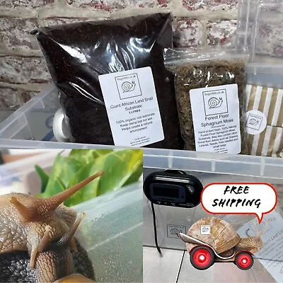 Giant African Land Snail Set Up 9L Heated Or Non-HeatedRUB With Contents • £29.99