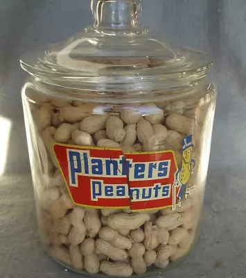 Planters Peanuts  Mr. Peanut Glass Counter Jar  1950s Era • $114