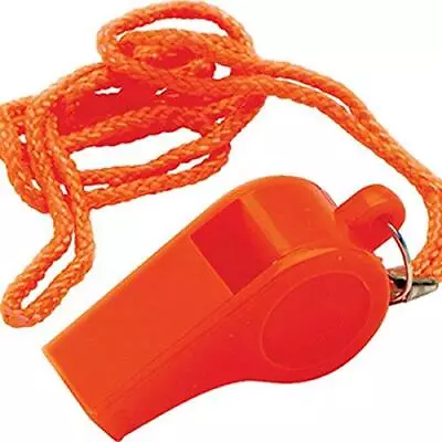  Safety Whistle  • $5.97