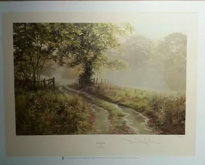 David Dipnall Puddles Limited Edition Signed Landscape Country Scene • £79.99