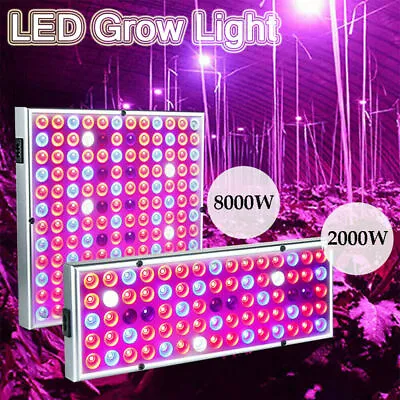 8000W LED Grow Light Hydroponic Full Spectrum Indoor Plant Flower Growing Bloom • $37.80