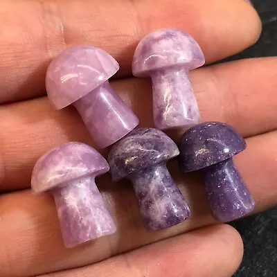 10pc Natural Purple Mica Mushroom Quartz Crystal Reiki Healing Gem Random • $5