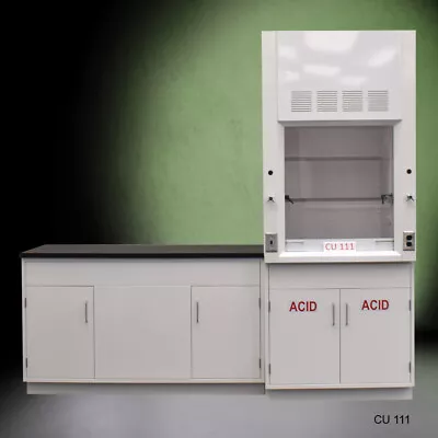 3' Fisher American Fume Hood W/ ACID Storage &5' Laboratory Sink Cabinet E2-283 • $9400