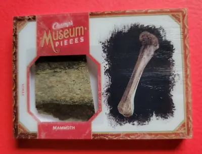 Woolly Mammoth Femur Bone Fossil Artifact Over 11700 Yrs. Old Upper Deck Champs • $349.95