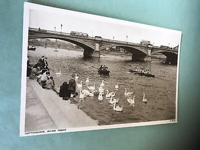 £1.99 • Buy Nottingham. River Trent.  Swans & Rowing Boats.  Vintage Postcard 
