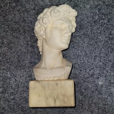 Michelangelo David Head Bust Statue On Marble By • $40