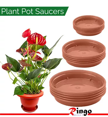 Plastic Pots Saucers Plant And Tray Terracotta Garden Flowers Growing Planting • £11.99