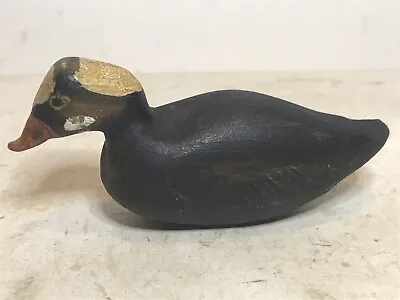 Scoter Skunk Head Miniature Duck Decoy Vintage Unknown  • $50