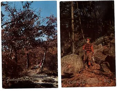 Lot Of 2 ~ Greetings From Spooner Wisconsin ~ Rabbit Hunter ~ Woman Trees Stream • $4.72