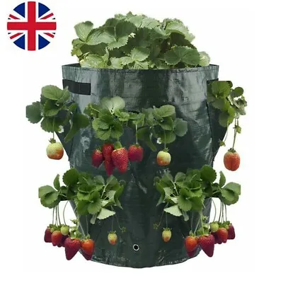 2 X Strawberry Grow Bags Heavy Duty Out Door Vegetable Planter Grow Bag Sack • £6.99