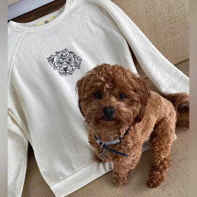 $72.16 • Buy Staud X C.Bonz Embroidered Pullover Sweatshirt Sz L Cream