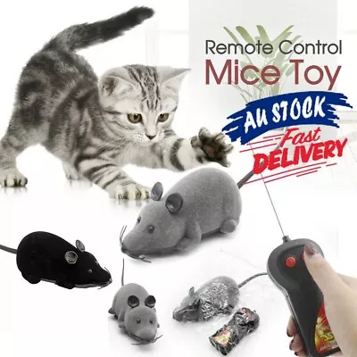 Pet Cat Puppy Toy Wireless Remote Control Electronic Rat Mouse Mice Toys AU • $13.64