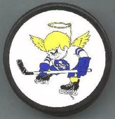 WHA MINNESOTA FIGHTING SAINTS  Lil' Skater Stkr Style PUCK AWESOME #oldKtbl- #3L • $17.99