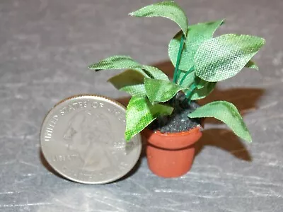 Dollhouse Miniature Plant In Pot Indoor 1:12 One Inch Scale B257 Dollys Gallery • $25.63